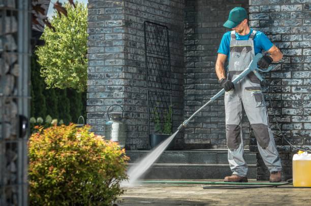 Best Animal Enclosure Cleaning  in Lakewood, OH